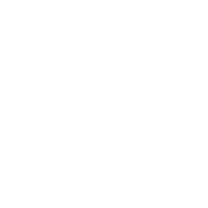 transdev