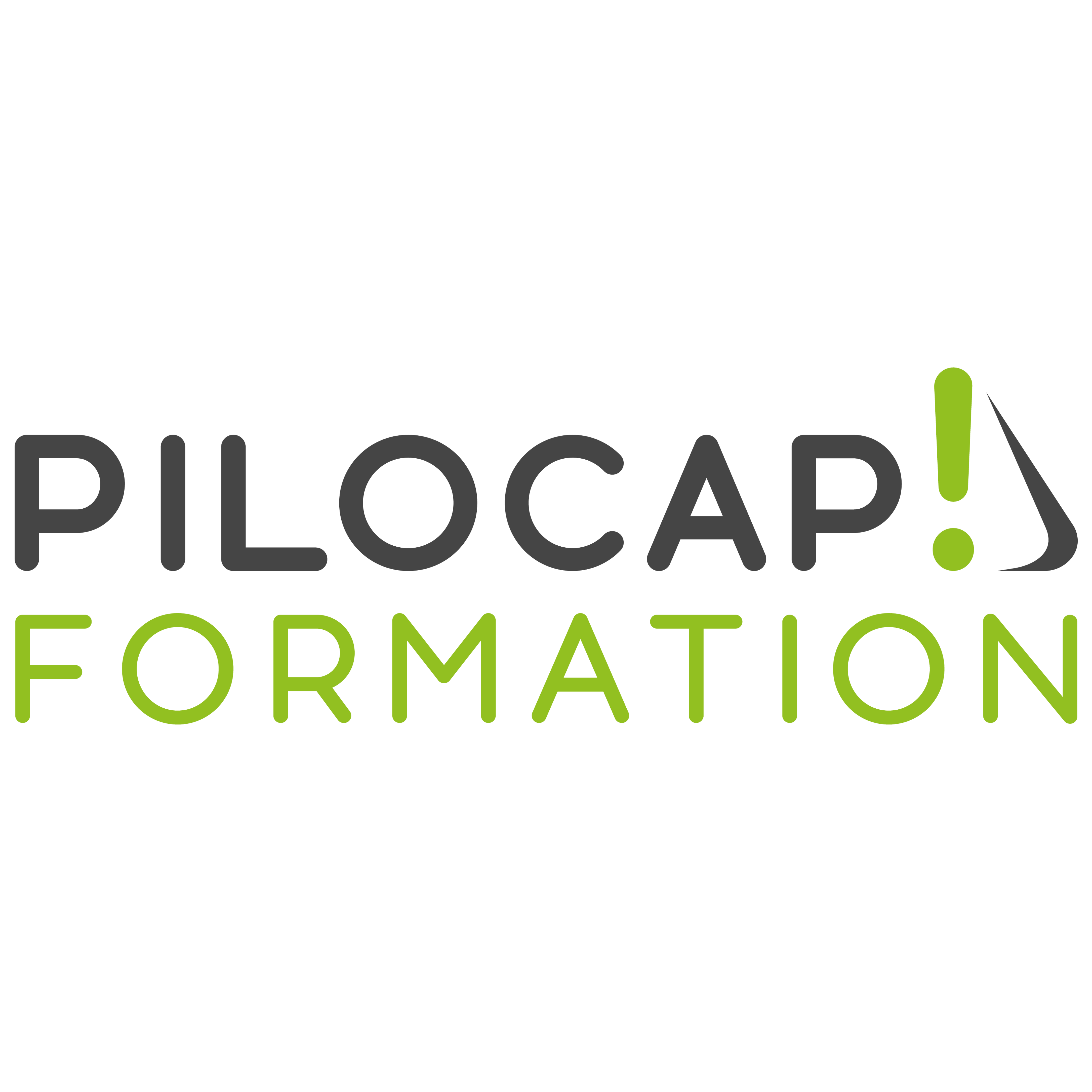 Pilocap Formation